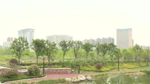 第一季度漯河市房地產開發共完成投資11.97億元 新建商品住宅均價每平方米5995元