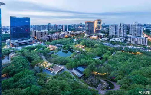 麗都悅府 東四環邊涉外區 輕奢觀景房 戶型鑒賞