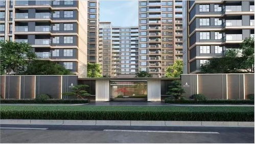 高速地產集團 質造美好生活,推動更高質量發展