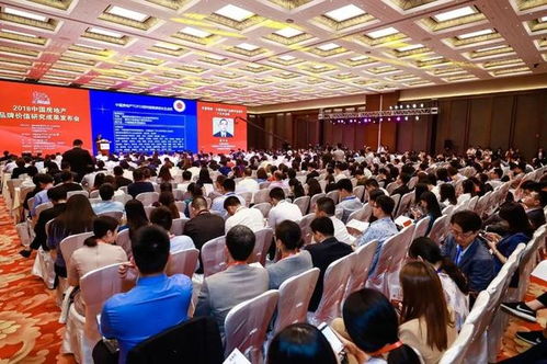 時代集團 穩健發展,匠心品質,鐫刻時代風華