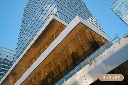 白樺林fic 售樓處 ▁品牌開發商▁全能soho▁產品介紹▁樓盤地址